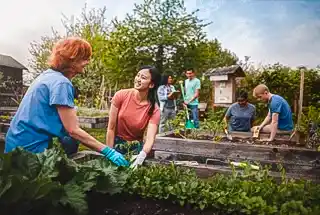Community Garden